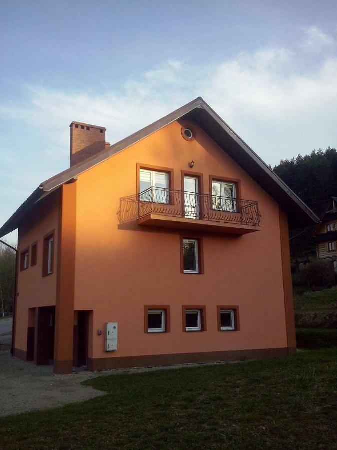 Noclegi U Gosi Ustrzyki Dolne Ngoại thất bức ảnh